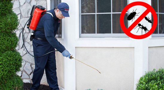 Evciler Gümüşkurt İlaçlama böcek ilaçlama ve haşere kontrolü — ilaclama-tr.com